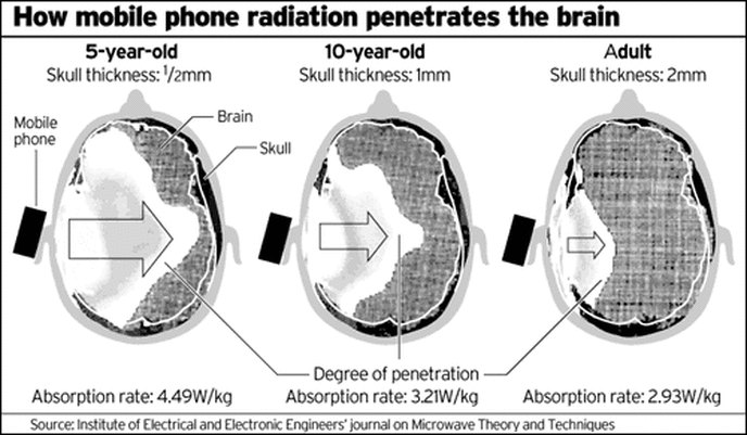 Diagram: how mobile phone radiation penetrates the brain of a 5 year old, a 10 year old and an adult