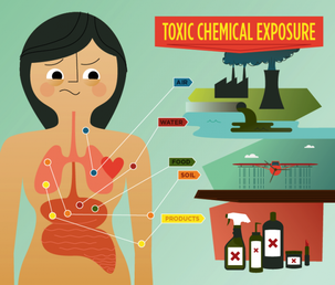 Illustration of toxic chemical exposure from air, water, food, soil and household products